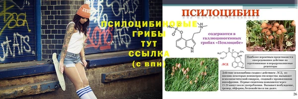 таблы Мегион